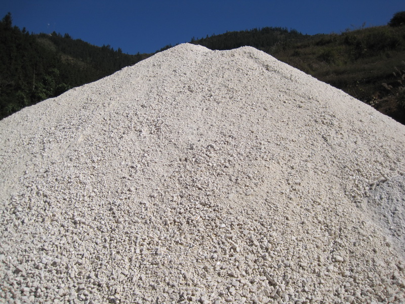 威尼斯游戏网站app