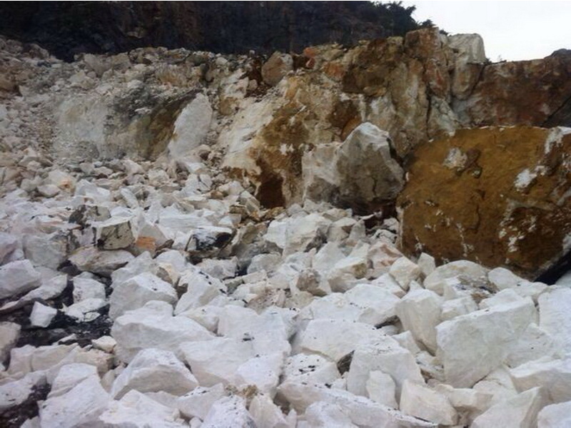 威尼斯游戏网站app