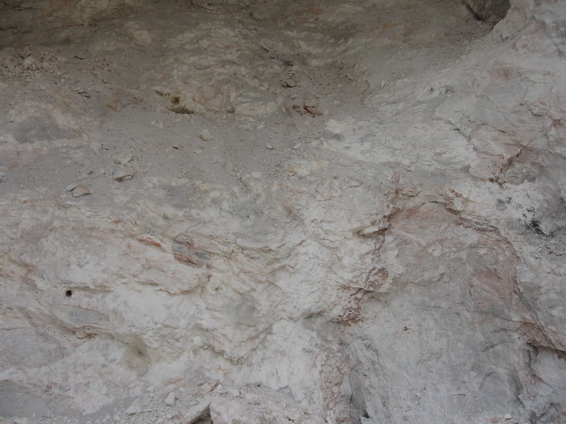 威尼斯游戏网站app