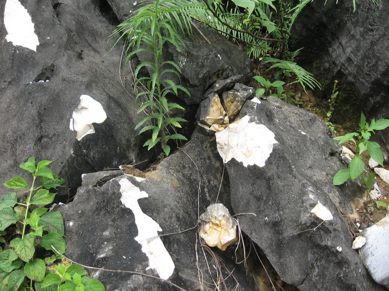 威尼斯游戏网站app