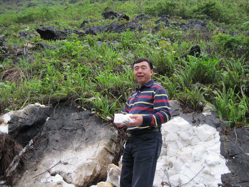 威尼斯游戏网站app