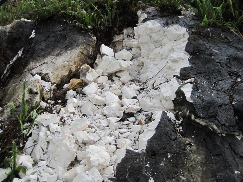 威尼斯游戏网站app