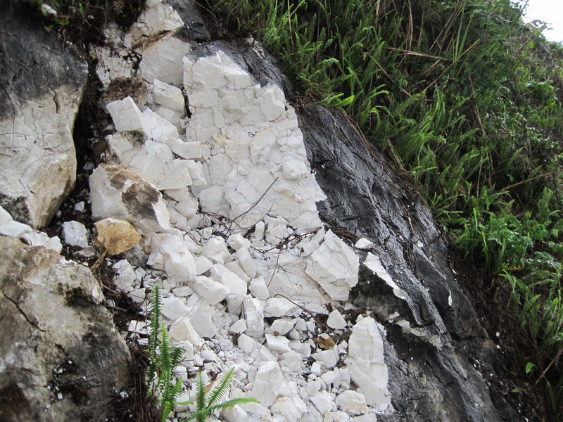 威尼斯游戏网站app