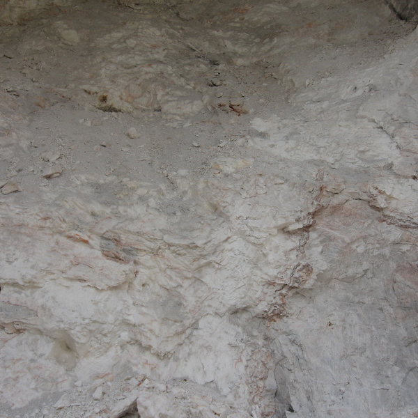 威尼斯游戏网站app