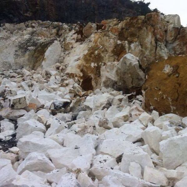 威尼斯游戏网站app