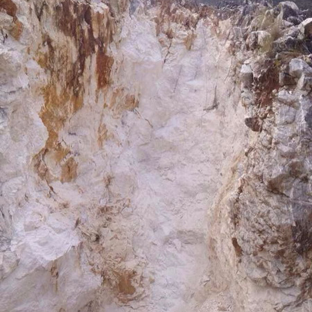 威尼斯游戏网站app