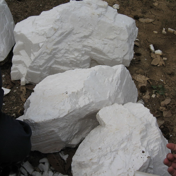 威尼斯游戏网站app