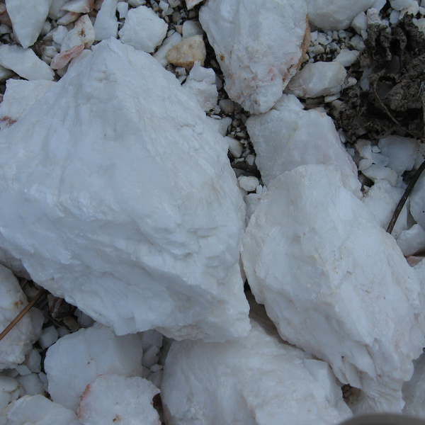 威尼斯游戏网站app