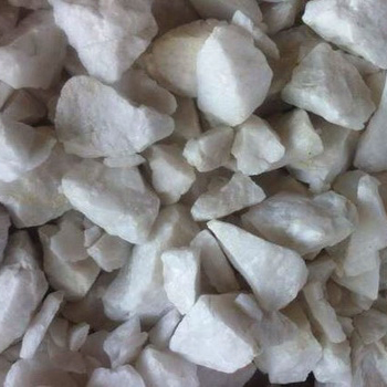 威尼斯游戏网站app